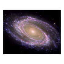 Multiwavelength M81 posters