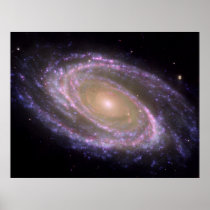 Multiwavelength M81 posters