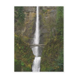 Multnomah Falls and Benson Footbridge Postcard
