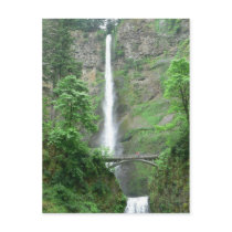Multnomah Falls Postcard