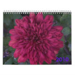 Mum/2010 Calendars