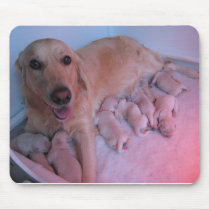 Mum and pups =] mousepads