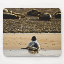 "Mum! Dad! Where are you?" Mousepads