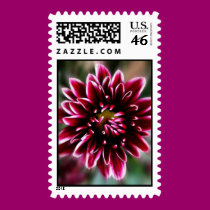 Mum Flower Postage Stamp