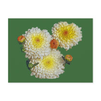 Mum Flower postcards