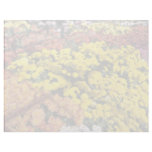 Mum show, Experimental Farm, Ottawa, Ontario, Cana Letterhead Template
