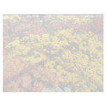 Mum show, Experimental Farm, Ottawa, Ontario, Cana Custom Letterhead
