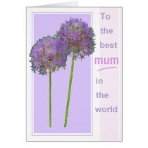 Mum: The Best Mum In The World cards