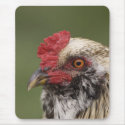 Mumps the Rooster mousepads