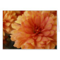 Mums cards by dannamarie72 Mums cards