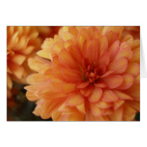 Mums cards by dannamarie72 Mums cards