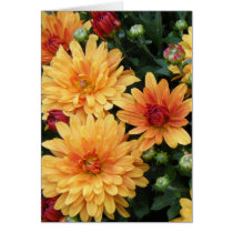 "Mums" Greeting Cards