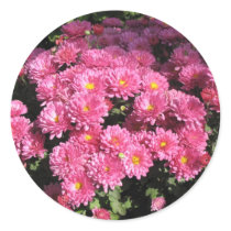 Mums in a Garden stickers