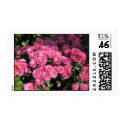 Mums in the Garden postage by DonnaGrayson_Photos Mums in the Garden postage