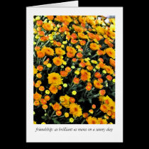 Mums (No. 0732) cards