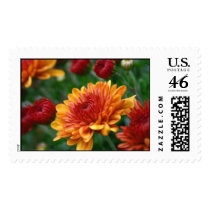 Mums on Fire postage