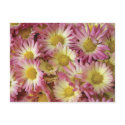 Mums postcards by lioneyes Mums postcards