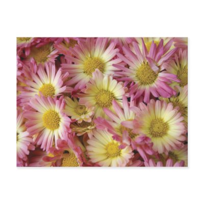 Mums Postcards by lioneyes
