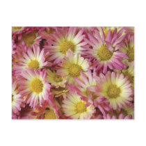 Mums postcards by lioneyes Mums postcards