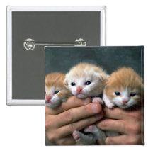 Munchkins Pinback Buttons