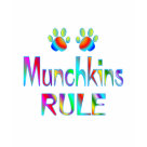 ladies_casual_tshirt - Munchkin cat lovers will enjoy this colorful design with the cat paws and the words Munchkins Rule.