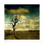 fantasy, tree, landscape, surreal, bench, clouds