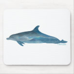 Murals inside Fish