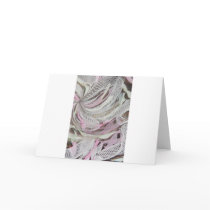 Murano Latticino Detail Study cards