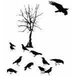 crows, crow, murder, dead, tree, cool, hip, funk,