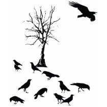 Murder of Crows t-shirts