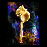 Murex haustellum Seashell posters