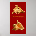 Murex Ramosus posters