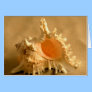 Murex Ramous Greeting Card