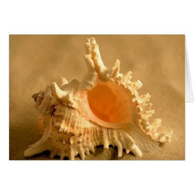 Murex Ramous Greeting Card by roimim