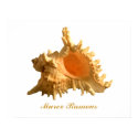 Murex Ramous posters