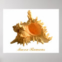 Murex Ramous posters