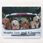 Murphy, Lucy, Molli & Sammie mousepads
