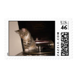 Murphy on the victrola stamps