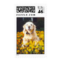 Murphy postage by Nikita13 Murphy postage