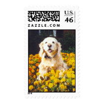 Murphy postage