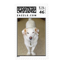 MurphyMan.jpg postage