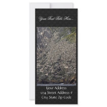 Murre colony, Chagulak Island Rack Card