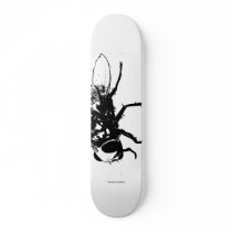musca domestica skate skate board