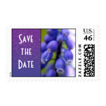 Muscari Save the Date postage stamps