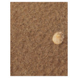 Muschel im Sand flyers