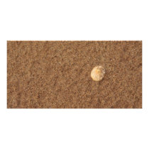 Muschel im Sand photo cards