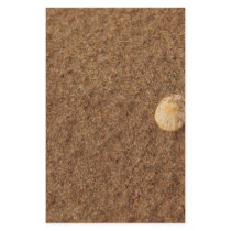 Muschel im Sand stationery