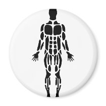 muscle man magnets