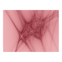 Muscle posters