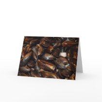 muscles cards